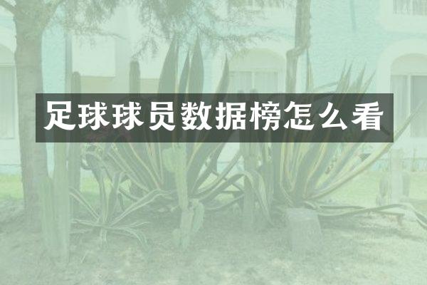 足球球员数据榜怎么看