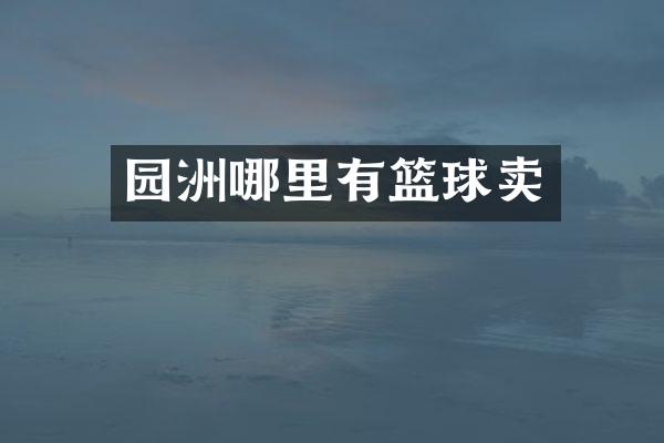 园洲哪里有篮球卖