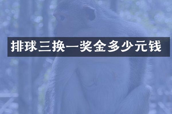 排球三换一奖金多少元钱