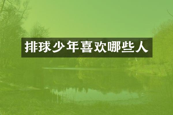 排球少年喜欢哪些人