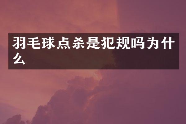 羽毛球点杀是犯规吗为什么