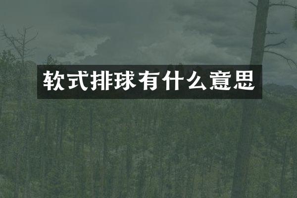 软式排球有什么意思