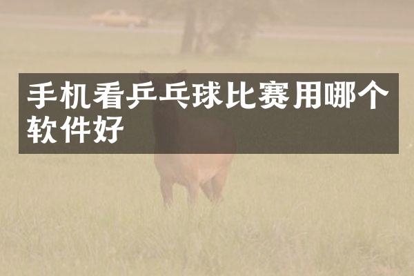 手机看乒乓球比赛用哪个软件好