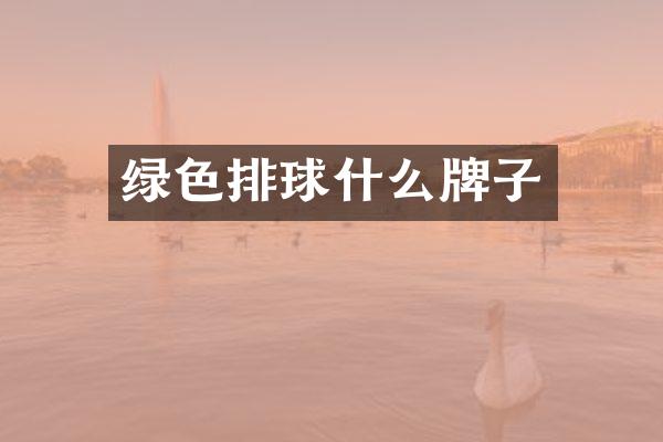 绿色排球什么牌子