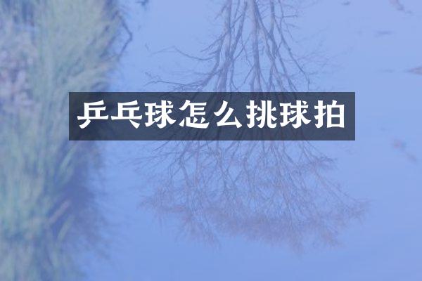 乒乓球怎么挑球拍