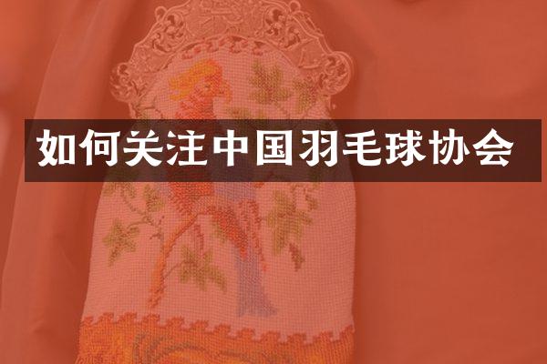 如何关注中国羽毛球协会