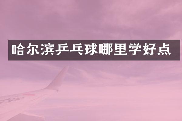 哈尔滨乒乓球哪里学好点