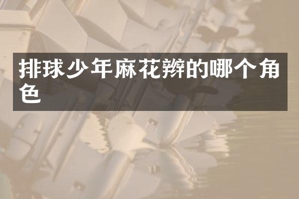 排球少年麻花辫的哪个角色