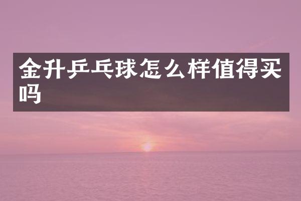 金升乒乓球怎么样值得买吗