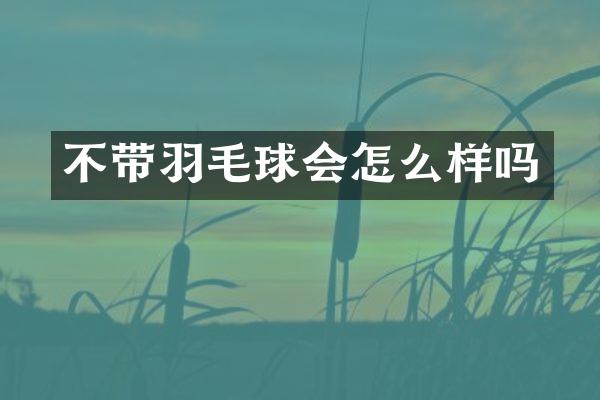 不带羽毛球会怎么样吗