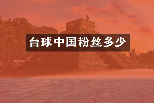 台球中国粉丝多少