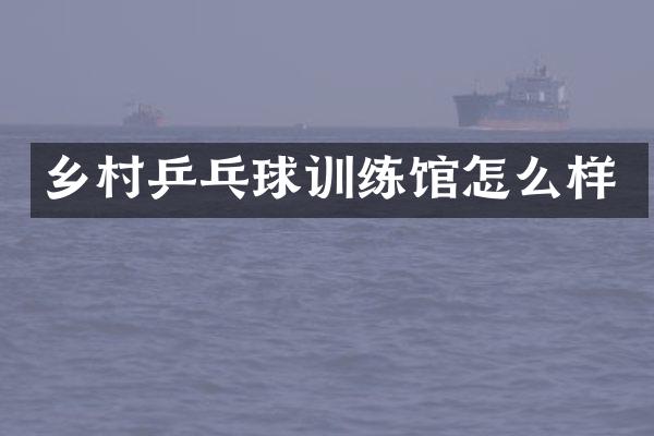 乡村乒乓球训练馆怎么样