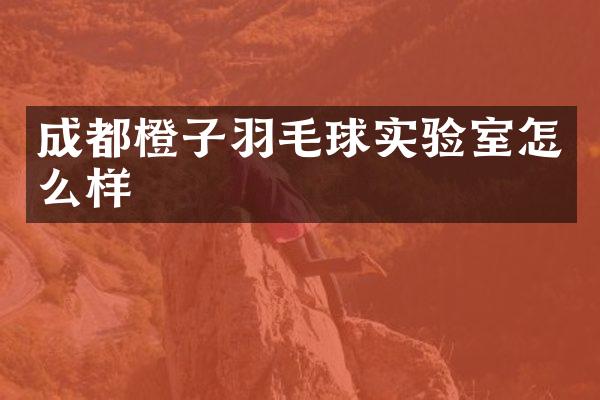 成都橙子羽毛球实验室怎么样