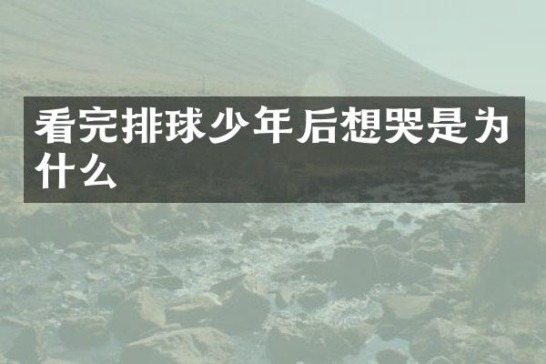 看完排球少年后想哭是为什么