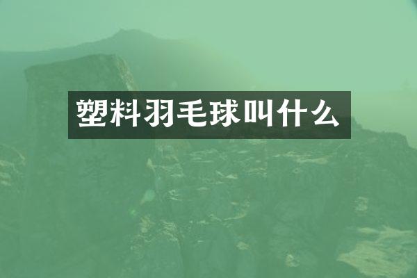 塑料羽毛球叫什么