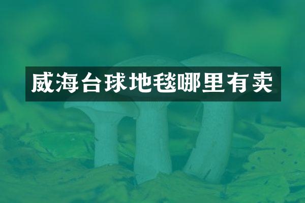 威海台球地毯哪里有卖