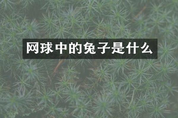 网球中的兔子是什么