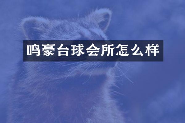 鸣豪台球会所怎么样