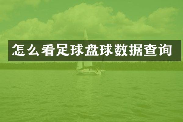 怎么看足球盘球数据查询