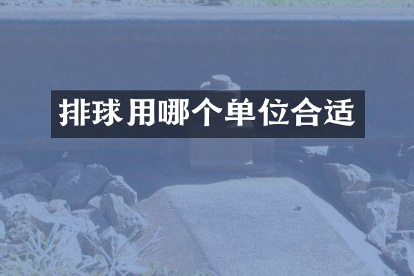 排球用哪个单位合适