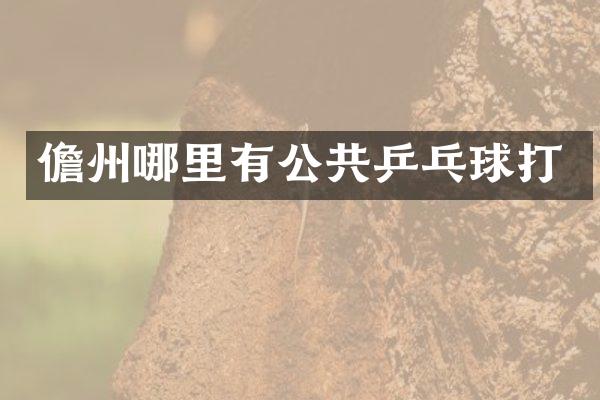 儋州哪里有公共乒乓球打