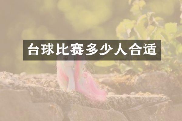 台球比赛多少人合适