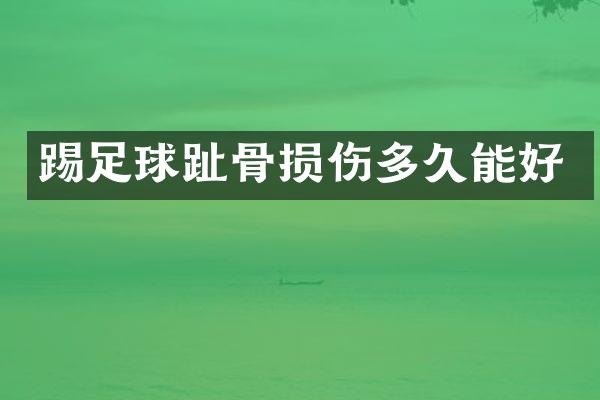 踢足球趾骨损伤多久能好