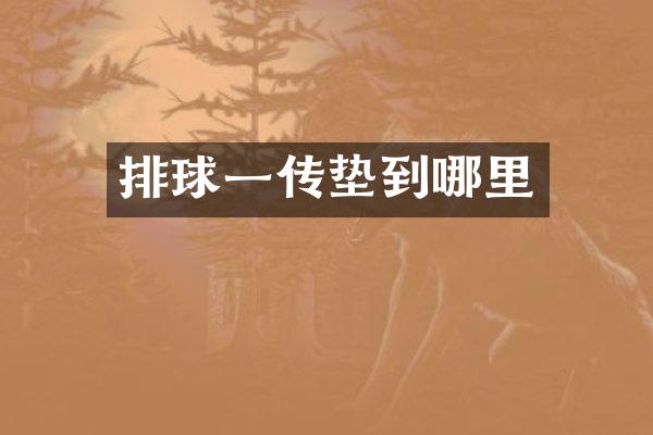 排球一传垫到哪里
