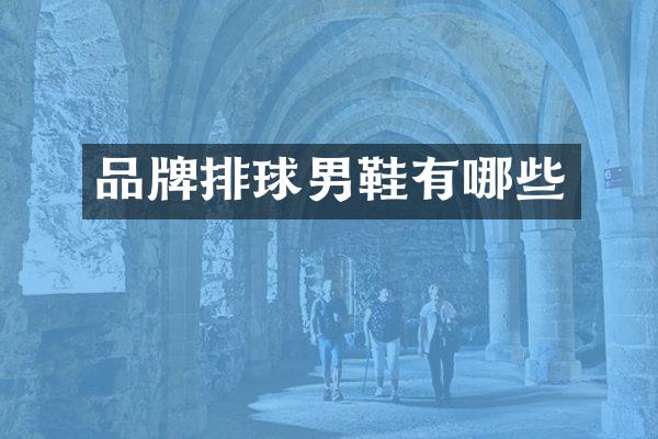 品牌排球男鞋有哪些