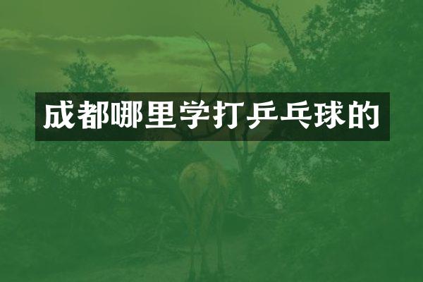 成都哪里学打乒乓球的
