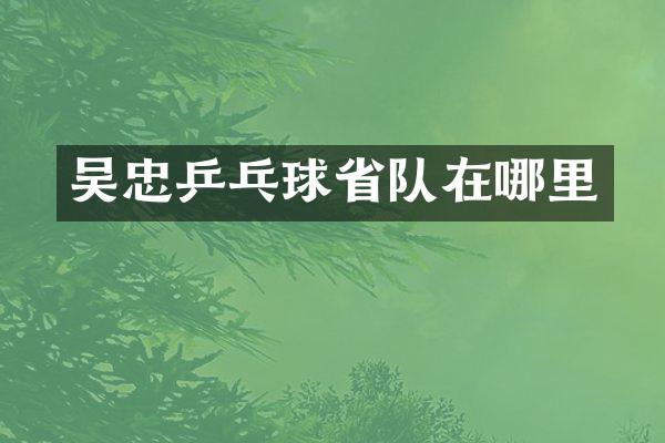 吴忠乒乓球省队在哪里