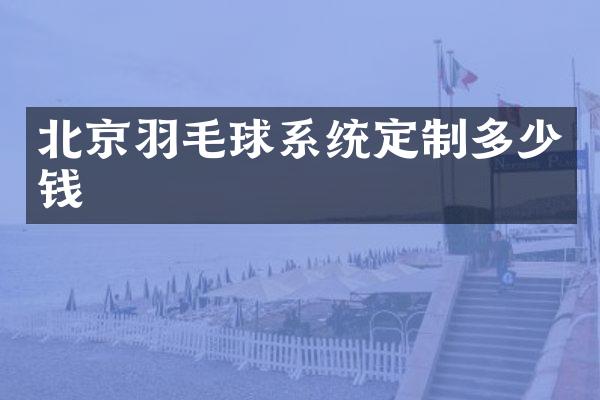 北京羽毛球系统定制多少钱