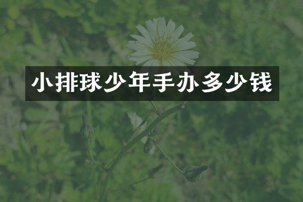 小排球少年手办多少钱