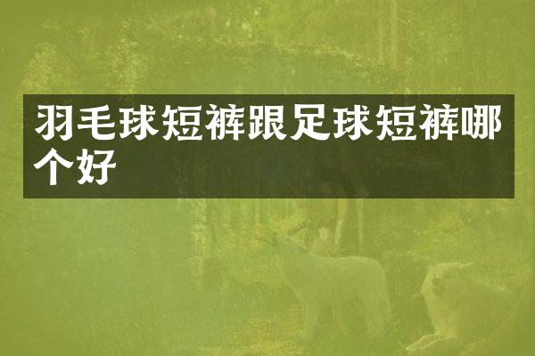 羽毛球短裤跟足球短裤哪个好