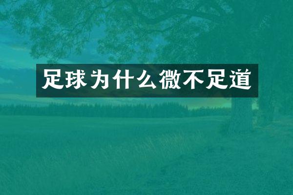 足球为什么微不足道