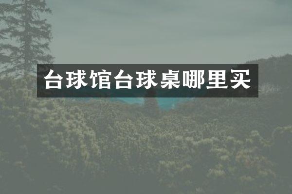 台球馆台球桌哪里买