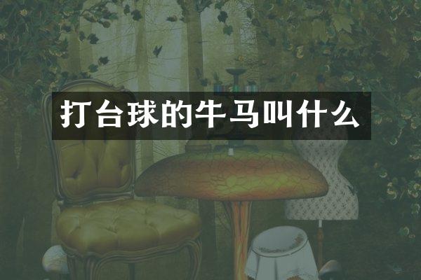 打台球的牛马叫什么