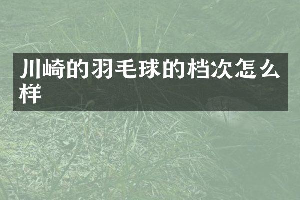 川崎的羽毛球的档次怎么样