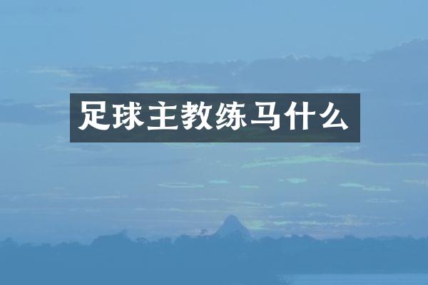 足球主教练马什么