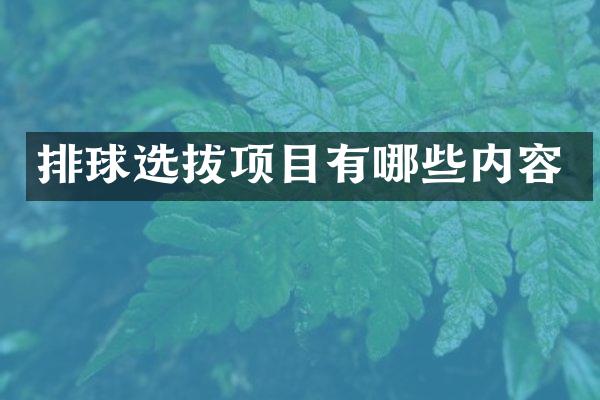 排球选拔项目有哪些内容