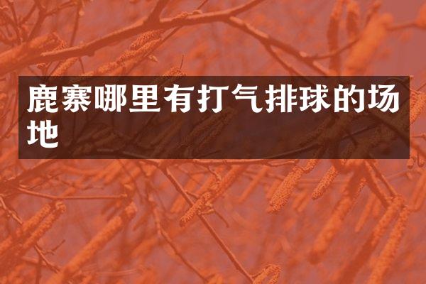 鹿寨哪里有打气排球的场地