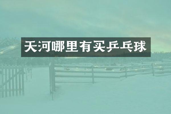 天河哪里有买乒乓球