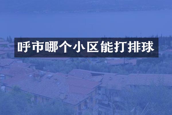 呼市哪个小区能打排球