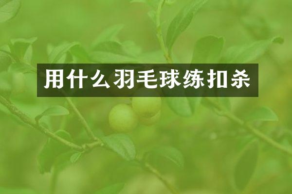 用什么羽毛球练扣杀