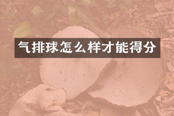 气排球怎么样才能得分