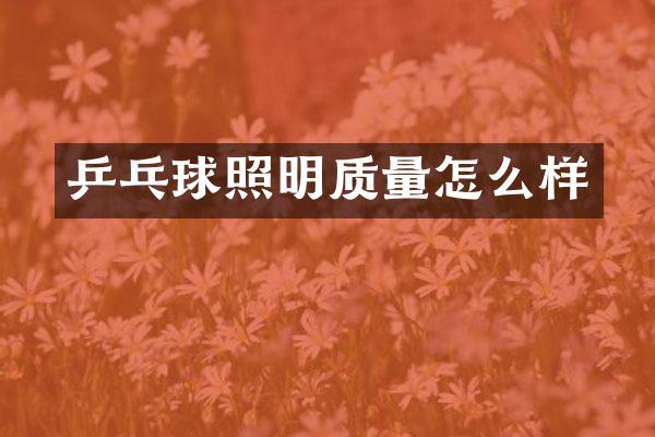 乒乓球照明质量怎么样