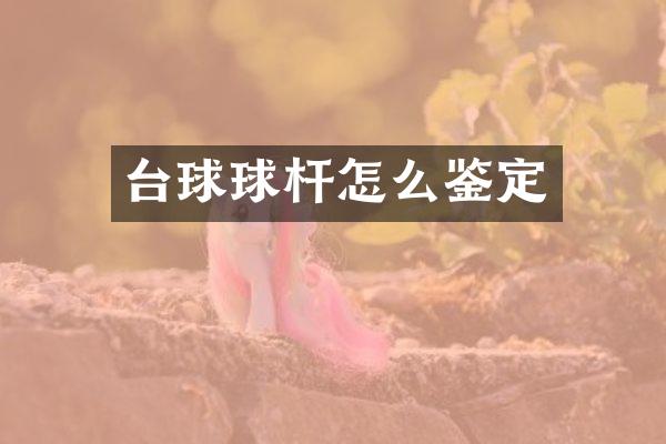 台球球杆怎么鉴定