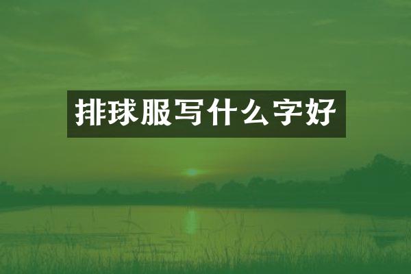 排球服写什么字好