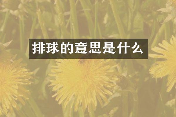 排球的意思是什么