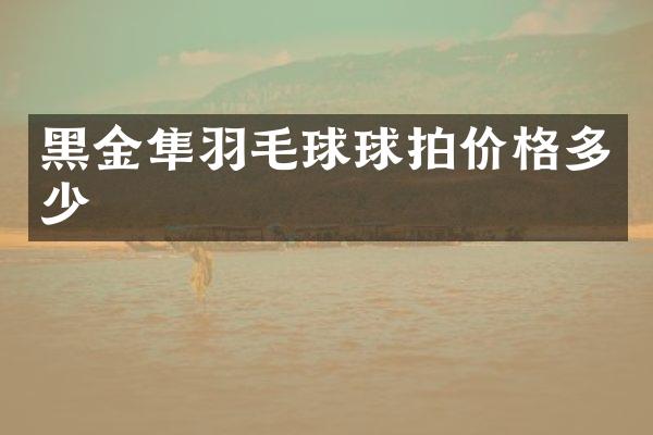 黑金隼羽毛球球拍价格多少